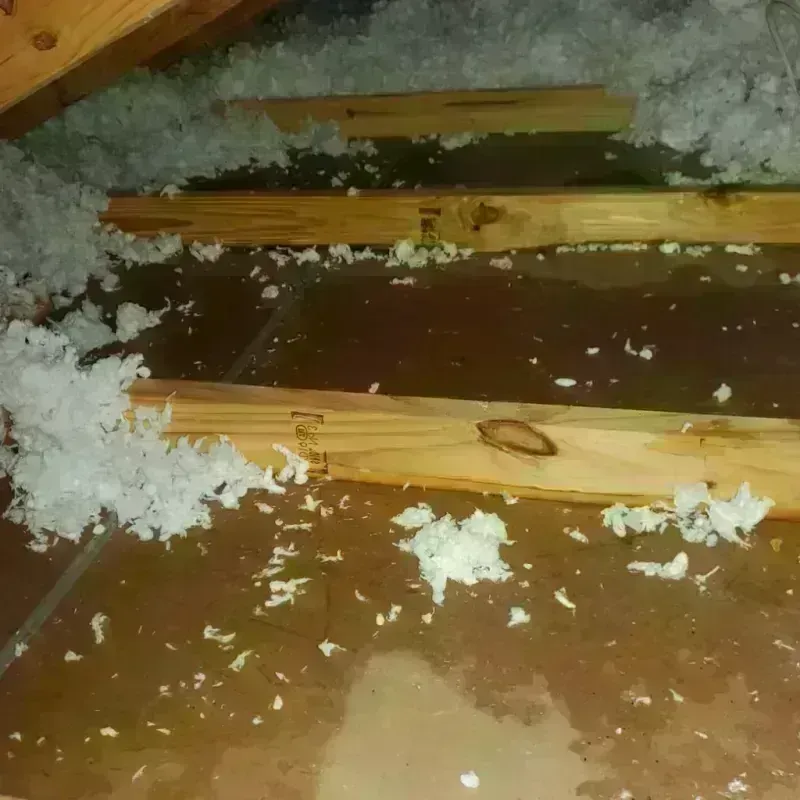 Attic Water Damage in Tunica County, MS