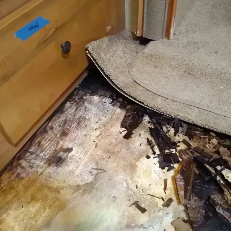 Wood Floor Water Damage in Tunica County, MS